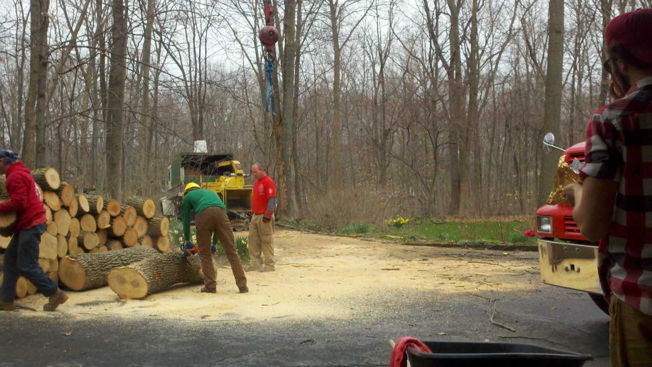 The Trapper's Tree Service team